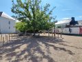 Journee-olympiques-cycle-1-240524-6