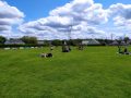IMG_20240524_124430