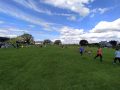 IMG_20240524_124932